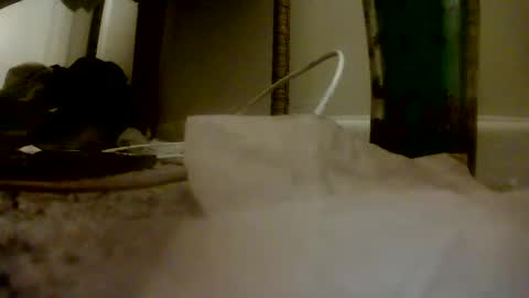 Peter Paul online show from November 16, 2:03 am