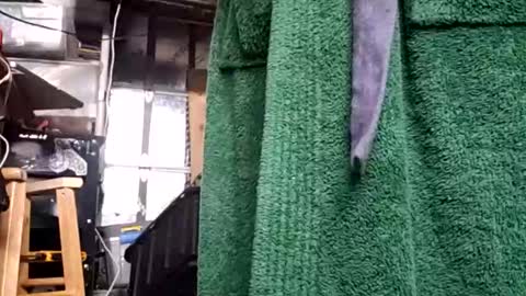 bigmanaround9 online show from December 5, 11:07 pm