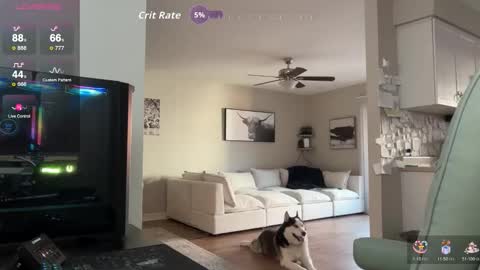 Snapshot of bigmcr1 chatting on October 12, 12:04 am Nick Barker online show from October 12, 12:04 am