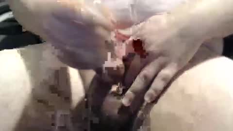 Snapshot of bigstudjohn22 chatting on October 27, 10:17 am bigstudjohn22 online show from October 27, 10:17 am