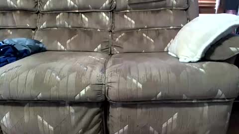 biguylovessuckingcock online show from September 13, 9:38 pm