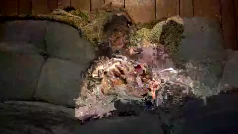 bigwytecock1979 online show from December 11, 7:32 am