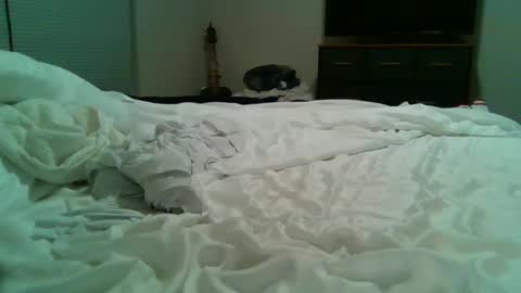 Special Big online show from March 11, 7:37 am