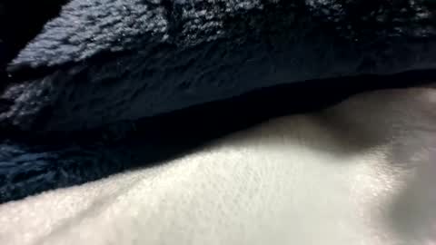 Snapshot of blackhammer8787 chatting on December 8, 6:43 am blackhammer8787 online show from December 8, 6:43 am