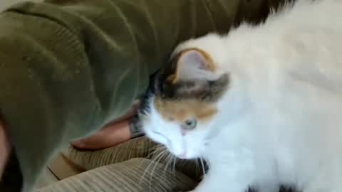 BlakeAndSkylar online show from March 8, 5:36 am