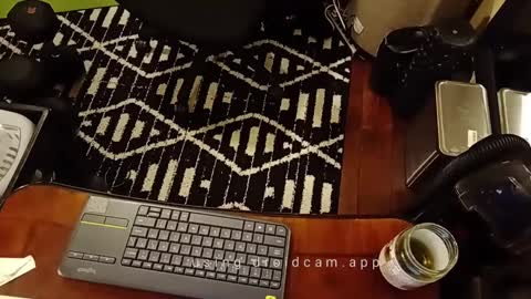 Blackjag00 online show from February 15, 7:06 am