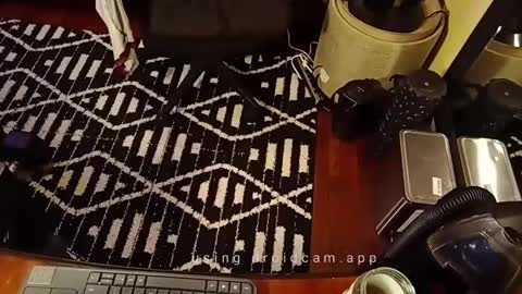 Blackjag00 online show from February 19, 7:06 am