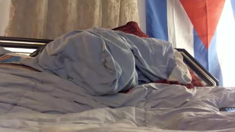 FreshCut online show from February 11, 4:01 am