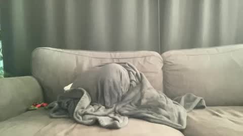 BlIdoL online show from November 6, 9:12 am