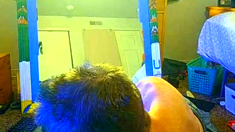 Snapshot of bmurray13kc2 chatting on October 25, 3:19 am bmurray13kc2 online show from October 25, 3:19 am