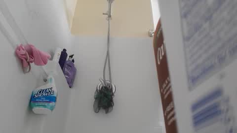 bobjones5003 online show from April 6, 4:42 am