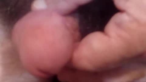 Snapshot of bobswan chatting on October 21, 6:44 pm bobswan online show from October 21, 6:44 pm