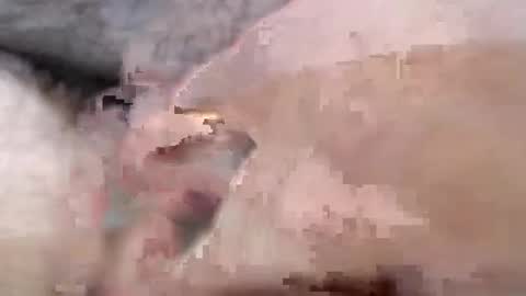 Snapshot of bobswan chatting on January 24, 3:13 pm bobswan online show from January 24, 3:13 pm