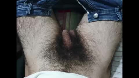 Im Bom - Tip if You Liked my Hairy Body - Private Show is Open - Read more about me in the bio below online show from June 1, 9:53 am
