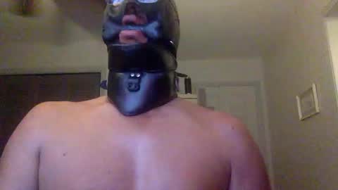 Bondage lover online show from January 2, 3:15 am