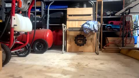 FRECKLES online show from February 3, 12:36 pm