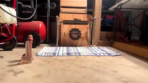 FRECKLES online show from January 16, 1:37 am