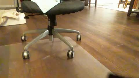 FRECKLES online show from March 8, 4:20 am