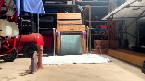 FRECKLES online show from January 31, 12:40 pm