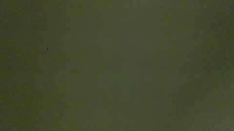 bonershow online show from January 15, 8:55 pm