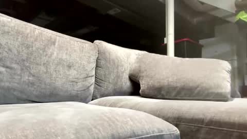 bongripingclitlicker online show from October 23, 2:26 am