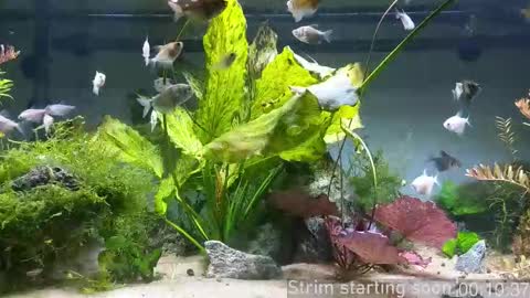 Booker Baxton online show from March 3, 3:58 am