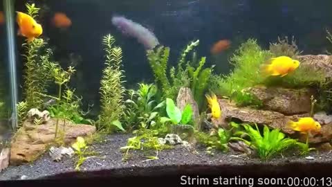 Booker Baxton online show from November 19, 4:12 am