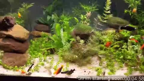 Booker Baxton online show from November 14, 4:04 am