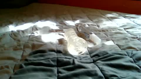 Snapshot of bootsy997 chatting on September 22, 7:46 pm Bootsy online show from September 22, 7:46 pm