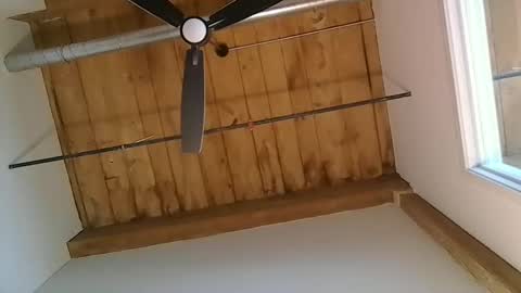 bostondaddy46 online show from November 15, 2:30 pm