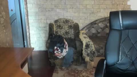 Snapshot of boyapollon chatting on December 8, 10:52 am BoyApollon online show from December 8, 10:52 am