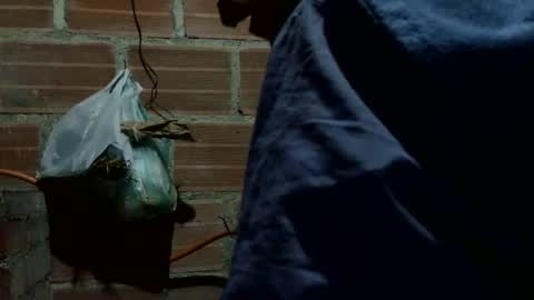 Snapshot of boycumlatino21 chatting on October 7, 2:48 am Boy online show from October 7, 2:48 am