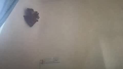 BoyToy online show from February 22, 11:35 am