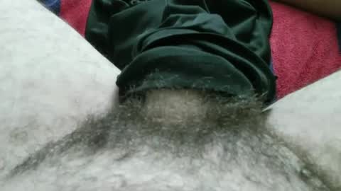 bpllpd online show from October 19, 3:15 pm