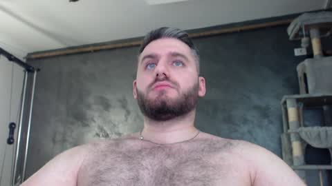 Snapshot of brad_pittfall chatting on January 3, 3:33 pm ask me online show from January 3, 3:33 pm