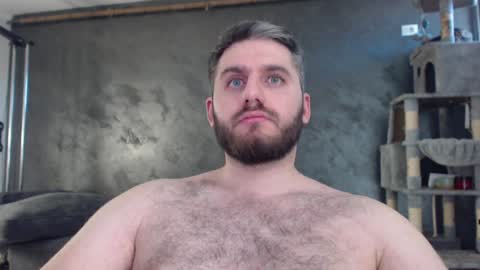 Snapshot of brad_pittfall chatting on December 19, 11:18 am ask me online show from December 19, 11:18 am