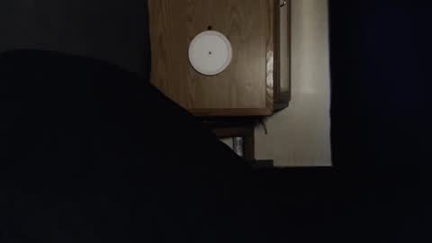 Snapshot of branflakes_ chatting on September 29, 12:42 am branflakes_ online show from September 29, 12:42 am