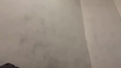 breanexe online show from October 29, 11:02 am