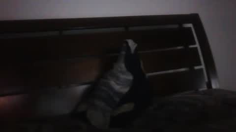 Snapshot of briankone97 chatting on February 20, 4:28 am BRIANKONE97 online show from February 20, 4:28 am