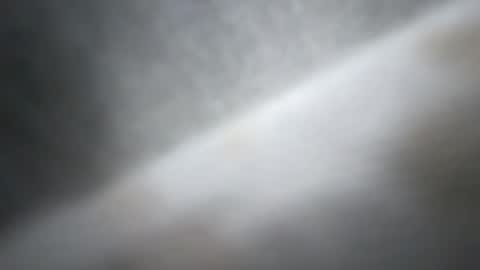 BRUCE online show from March 23, 12:49 am