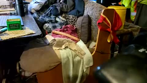 Steve... aka SkinnieDippin aka TimberTramp online show from January 8, 1:00 am