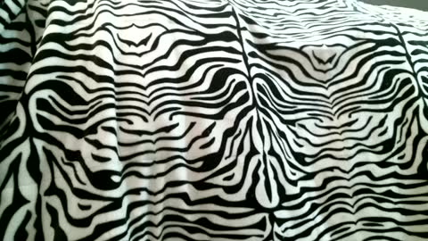 bustinfree online show from February 5, 3:31 pm