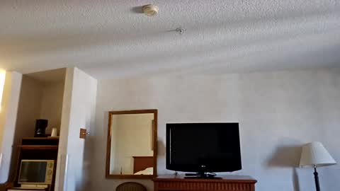 Nny online show from March 11, 9:48 pm