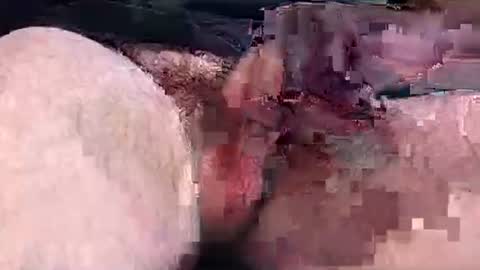 camone554cum online show from November 23, 2:22 am