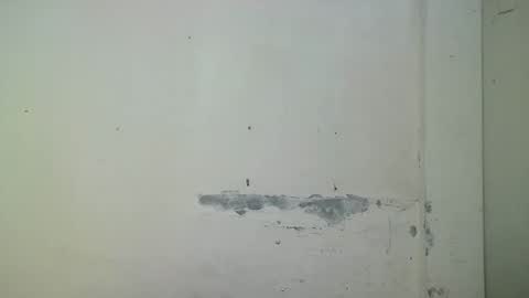 carimojama online show from March 24, 1:49 pm