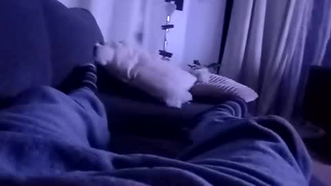 Snapshot of carlitito1 chatting on December 25, 5:26 am carlitito1 online show from December 25, 5:26 am