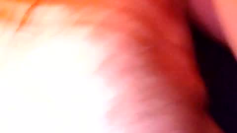 catkot912 online show from January 31, 3:52 am