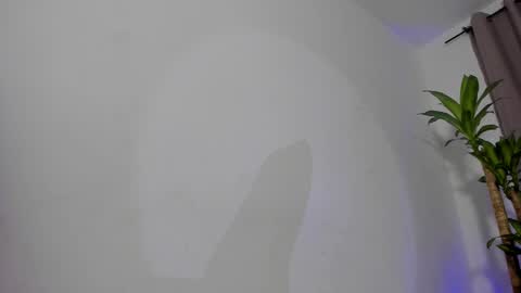 Catty online show from November 28, 12:36 am