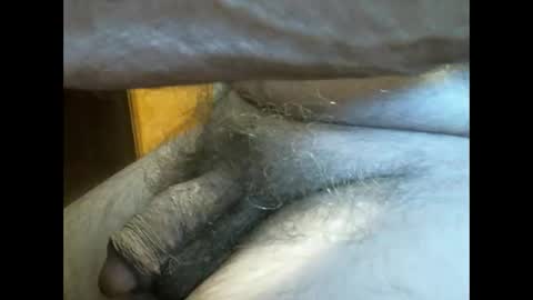 CCzt154 online show from September 15, 4:19 pm