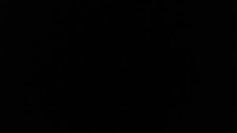 ceebee12 online show from April 1, 9:34 pm